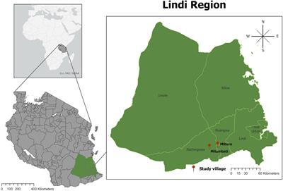 Adoption of processing technologies and innovative food preservation techniques: findings from smallholders in the Lindi Region in Tanzania